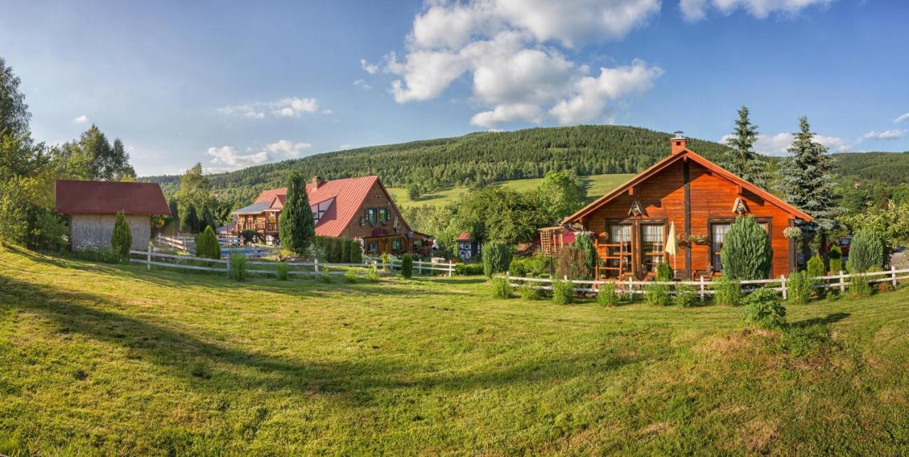 Gleboki Jar Apartment Swieradow-Zdroj Exterior photo